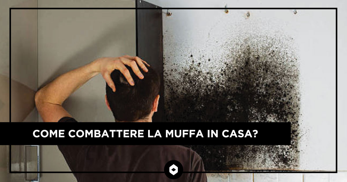 Come combattere la muffa in casa?
